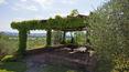 Toscana Immobiliare - Luxury villa for sale in Valdichiana Arezzo Tuscany