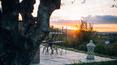 Toscana Immobiliare -