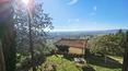 Toscana Immobiliare - Prestigious property in Tuscany