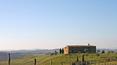Toscana Immobiliare - Casa de campo para renovar con vistas panorámicas, anexo, 1 hectárea de terreno con olivar y estanque en Asciano