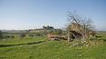 Toscana Immobiliare - Antigua granja para renovar en Asciano