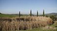 Toscana Immobiliare - Das Anwesen bietet einen außergewöhnlichen Blick auf die umliegende Landschaft