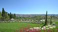 Toscana Immobiliare - Azienda agricola con casale, annesso, piscina, 25 ha di terreno e vista panoramica in vendita in Toscana