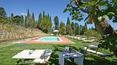 Toscana Immobiliare - The estate for sale consists of a stone farmhouse dating back to 1800, an annex and approximately 25 hectares of land
