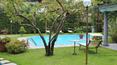 Toscana Immobiliare -  Villa vicino al mare in Toscana