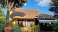Toscana Immobiliare - Independent villa with garden and land in Tuscany