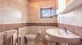 Toscana Immobiliare -