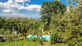 Toscana Immobiliare - Splendid flat with garden in Monte San Savino Tuscany