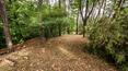Toscana Immobiliare -