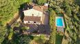 Toscana Immobiliare - Casale con piscina e oliveto in vendita ad Arezzo