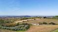 Toscana Immobiliare - Stone farmhouse with agricultural outbuildings and 4.5 ha of land for sale in Trequanda