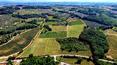 Toscana Immobiliare - The property is surrounded by the scent of wine and olive trees
