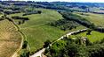 Toscana Immobiliare - La tenuta è composta da 16 ettari di terreno, di cui 10 di vigneti, quasi 1 di oliveti e i restanti di seminativo