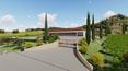 Toscana Immobiliare - The estate consists of 16 hectares of land, 10 of which are vineyards, almost 1 of olive groves and the remainder of arable land