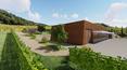 Toscana Immobiliare - Valuable wines such as Chianti DOCG and Toscano IGT can be obtained from the property's land
