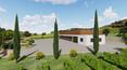 Toscana Immobiliare - La vendita include il progetto per la realizzazione di una moderna cantina di vinificazione di 605 mq
