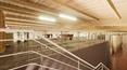 Toscana Immobiliare - The sale includes the project for the construction of a modern wine cellar of 605 sqm