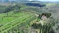 Toscana Immobiliare - estate farm for sale in Rignano sull'Arno Florence