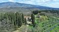 Toscana Immobiliare -