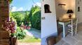 Toscana Immobiliare - Luxury real estate agency in Italy