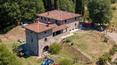 Toscana Immobiliare - Tuscan farmhouse with vineyard for sale Arezzo Chiusi della Verna