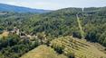 Toscana Immobiliare - The property lies in the heart of the Casentino Valley