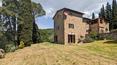 Toscana Immobiliare - The property is surrounded by a beautiful park with olive grove