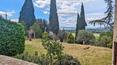 Toscana Immobiliare - Il casale è suddiviso in 4 appartamenti con ingresso indipendente