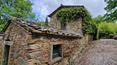Toscana Immobiliare -