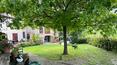 Toscana Immobiliare - The portion of the farmhouse is surrounded by a panoramic garden and land cultivated with olive trees