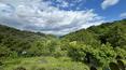 Toscana Immobiliare - La parte de la masía está rodeada por un jardín panorámico y tierras cultivadas con olivos