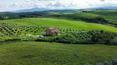 Toscana Immobiliare - Farmhouse for sale in Montalcino Siena Tuscany