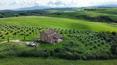 Toscana Immobiliare - Farmhouse for sale in Montalcino Siena Tuscany