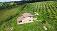 Toscana Immobiliare - Farmhouse for sale in Montalcino Siena Tuscany