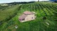 Toscana Immobiliare - Farmhouse for sale in Montalcino Siena Tuscany