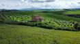 Toscana Immobiliare - Farmhouse for sale in Montalcino Siena Tuscany
