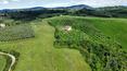 Toscana Immobiliare - Farmhouse for sale in Montalcino Siena Tuscany