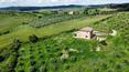 Toscana Immobiliare - Farmhouse for sale in Montalcino Siena Tuscany