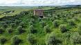 Toscana Immobiliare - Farmhouse for sale in Montalcino Siena Tuscany