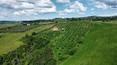 Toscana Immobiliare - Farmhouse for sale in Montalcino Siena Tuscany