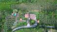 Toscana Immobiliare - Farmhouse with olive grove for sale in Foiano della Chiana