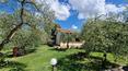 Toscana Immobiliare - El encantador paisaje de colinas típicamente toscano que rodea la propiedad ofrece privacidad