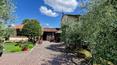 Toscana Immobiliare - Casale con oliveto e giardino in vendita a Foiano della Chiana, provincia di Arezzo, Toscana