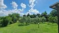 Toscana Immobiliare - Mas avec oliveraie à vendre à Foiano della Chiana