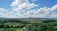 Toscana Immobiliare - The property is surrounded by 1 ha of land with an olive grove of 100 trees