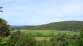 Toscana Immobiliare - Villas and farmhouses for sale in Tuscany