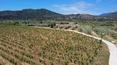 Toscana Immobiliare - The property is located a short distance from the beautiful Gulf of Orosei, on the east coast of Sardinia