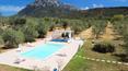 Toscana Immobiliare - Agricultural estate with farmhouse for sale in Sardinia