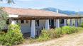 Toscana Immobiliare - Domaine agricole avec agritourisme à vendre en Sardaigne