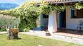 Toscana Immobiliare - La propiedad cuenta con una maravillosa piscina con zona de solarium, tumbonas, sombrillas y cenador
